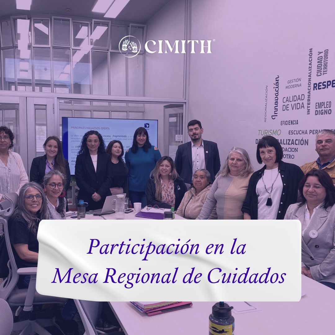 Participación de CIMITH en la Mesa Directiva del Plan de Cuidados de la Región del Biobío