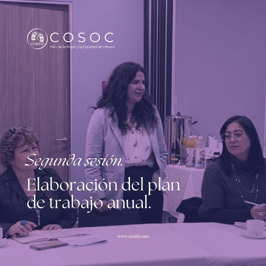 Segunda sesión COSOC